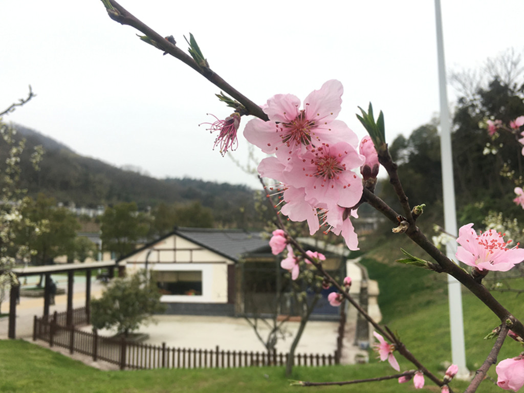 1616724414996915.jpg 3_副本.jpg